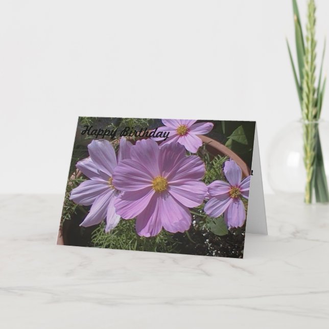 Cartão de Aniversário Flor de Cosmos Rosa (Frente)