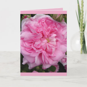 Cartão de Aniversário Flor de Rosa Vintage Rosa