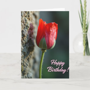 Cartão de Aniversário Flor de Sangue