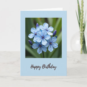 Cartão de Aniversário Floral Azure