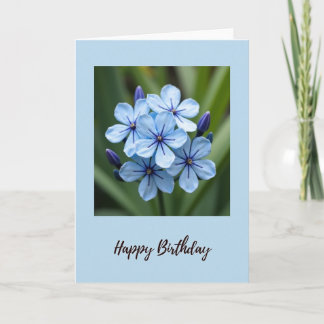 Cartão de Aniversário Floral Azure
