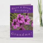 Cartão de Aniversário Floral Roxo para a Avó<br><div class="desc">Lindas flores roxas de cranesbill gerânio fazem uma imagem de excelente para este cartão de aniversário colorido para a vovó.  Todo texto pode ser facilmente personalizado.</div>