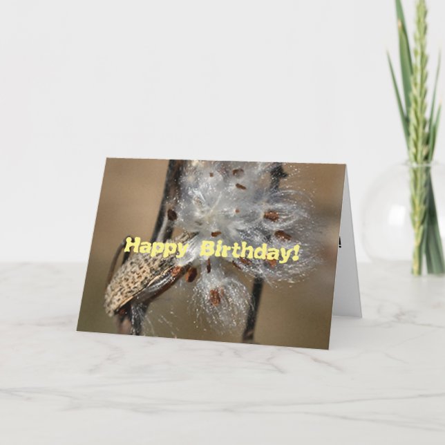 Cartão de Aniversário Fluffkin (Frente)
