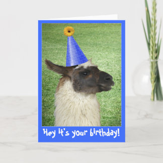 Cartão de aniversário Funny Llama ou convite