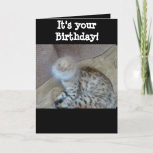 Cartão de aniversário - Gato Bengala