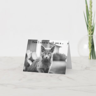 Cartão de Aniversário: Gato Cinza