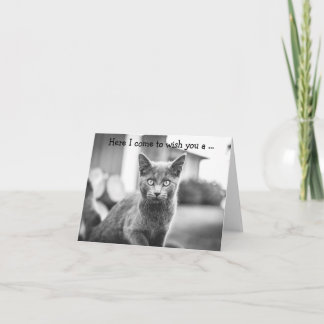 Cartão de Aniversário: Gato Cinza