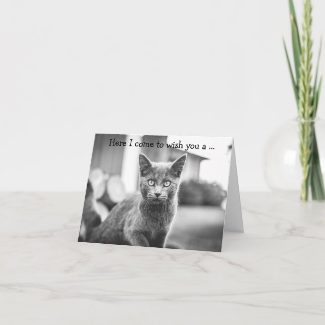 Cartão de Aniversário: Gato Cinza (Frente)