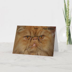 Cartão de Aniversário: Gato Mais Grumpiest vivo