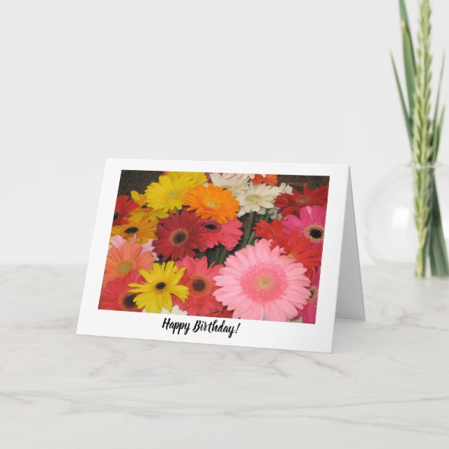 Cartão de Aniversário Gerbera (Frente)