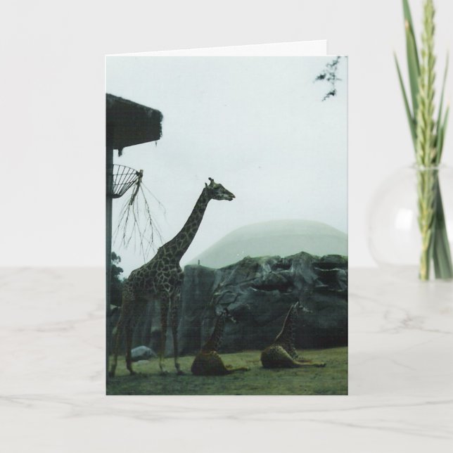 Cartão de Aniversário "Girafas" (Frente)