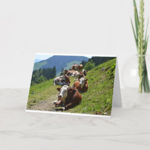 Cartão de Aniversário Grupo de Vacas