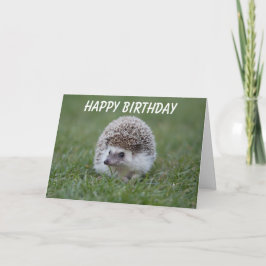 cartão de aniversário hedgeog