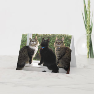 Cartão de Aniversário "Hora Do Bolo" De Três Amigo