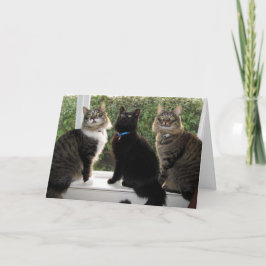 Cartão de Aniversário "Hora Do Bolo" Para Três Ami