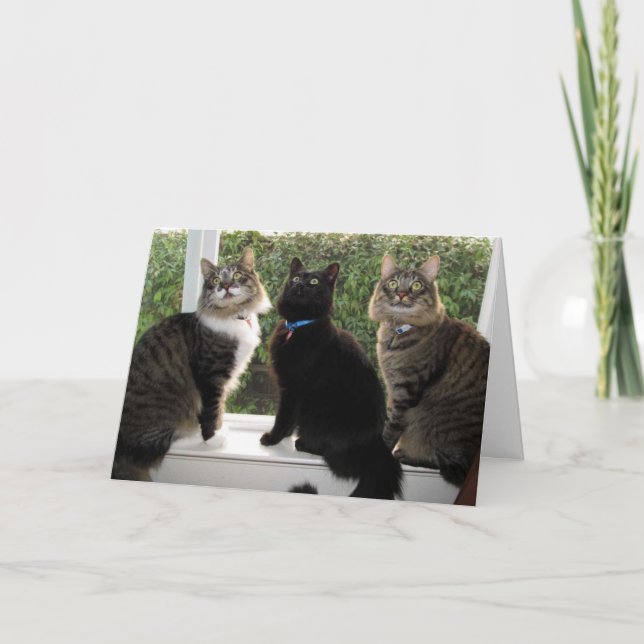 Cartão de Aniversário "Hora Do Bolo" Para Três Ami (Frente)