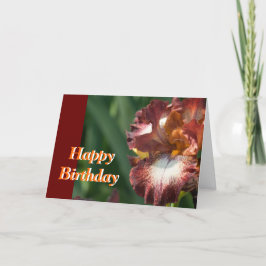 Cartão de Aniversário Iris Variado
