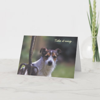 Cartão de aniversário Jack Russell