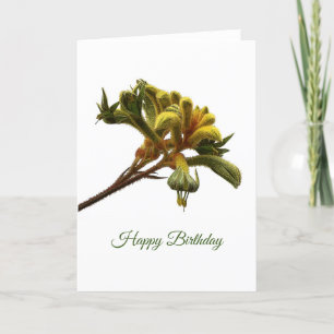 Cartão de Aniversário - Kangaroo Paw