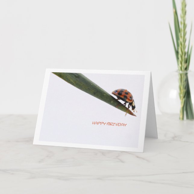 Cartão de Aniversário Ladybird (Frente)