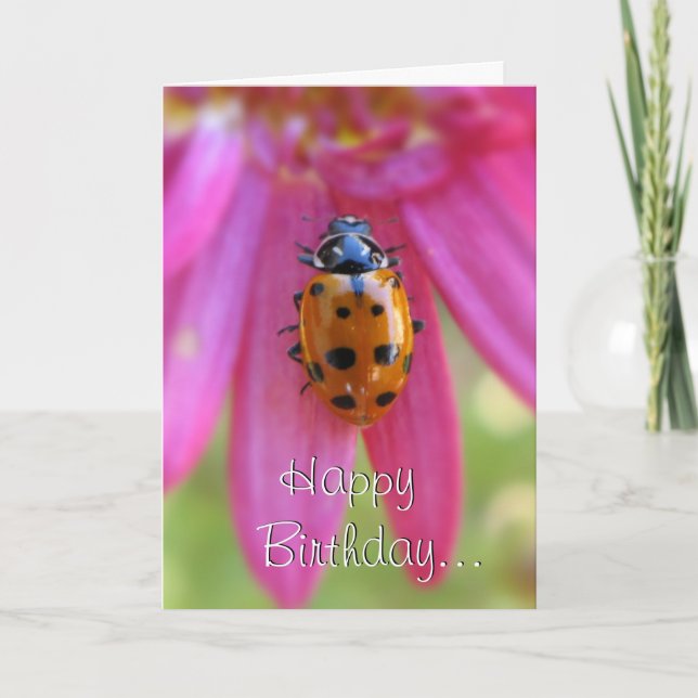 Cartão de Aniversário Ladybug (Frente)
