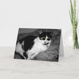 Cartão de aniversário legal Cat w óculos escuros