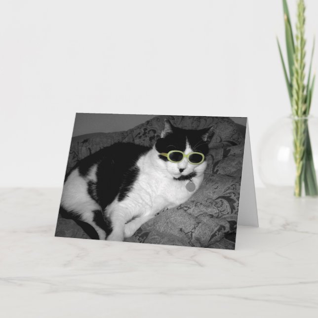 Cartão de aniversário legal Cat w óculos escuros (Frente)