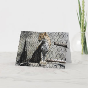 Cartão de Aniversário "Leopardo #1"