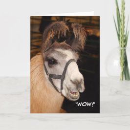 Cartão de Aniversário Llama