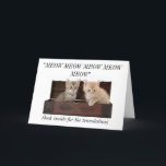 Cartão de aniversário louco engraçado da senhora<br><div class="desc">Um cartão de aniversário engraçado para um amante do gato. No cobrir dois os gatos bonitos meowing. Diz o olhar dentro do cartão para uma tradução. Dentro dele diz "a senhora louca do gato do feliz aniversario!". Uma ideia do presente do divertimento para um amante dos gatos. A foto usou-se...</div>