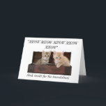 Cartão de aniversário louco engraçado da senhora<br><div class="desc">Um cartão de aniversário engraçado para um amante do gato. No cobrir dois os gatos bonitos meowing. Diz o olhar dentro do cartão para uma tradução. Dentro dele diz "a senhora louca do gato do feliz aniversario!". Uma ideia do presente do divertimento para um amante dos gatos. A foto usou-se...</div>