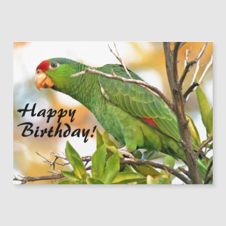 Cartão de Aniversário Magnético do Pássaro Amazona