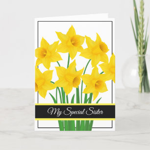 Cartão de Aniversário - Minha Carteira Especial