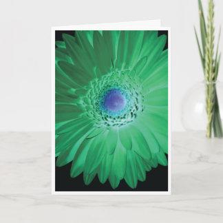 Cartão de aniversário - não seja negativo