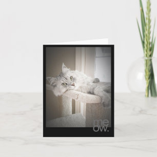 Cartão de Aniversário Original Traduzido Meow