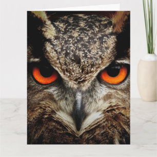 CARTÃO DE ANIVERSÁRIO OWL Photoographic Oversize