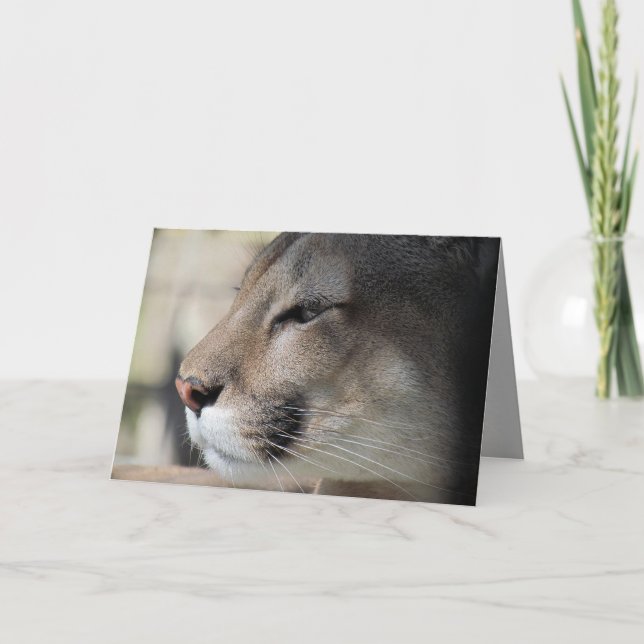 Cartão de Aniversário Panther Flórida (Frente)