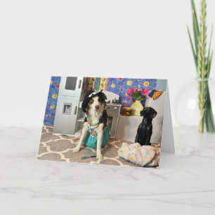 CARTÃO DE ANIVERSÁRIO PARA A MÃE COM CÃO EM ROUPAS