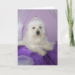 Cartão de aniversário para a neta -- Princesa<br><div class="desc">Esta foto adorável da princesa do cão faz um grande cartão de aniversário para sua neta! Imagem e verso Kathy Henis</div>