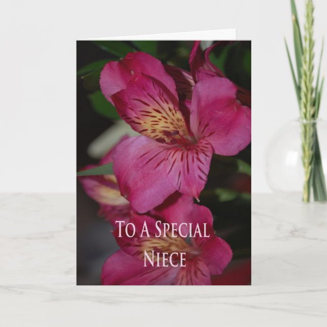 Cartão de aniversário para a sobrinha (Frente)