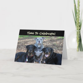 Cartão de Aniversário para Animais festas de anive