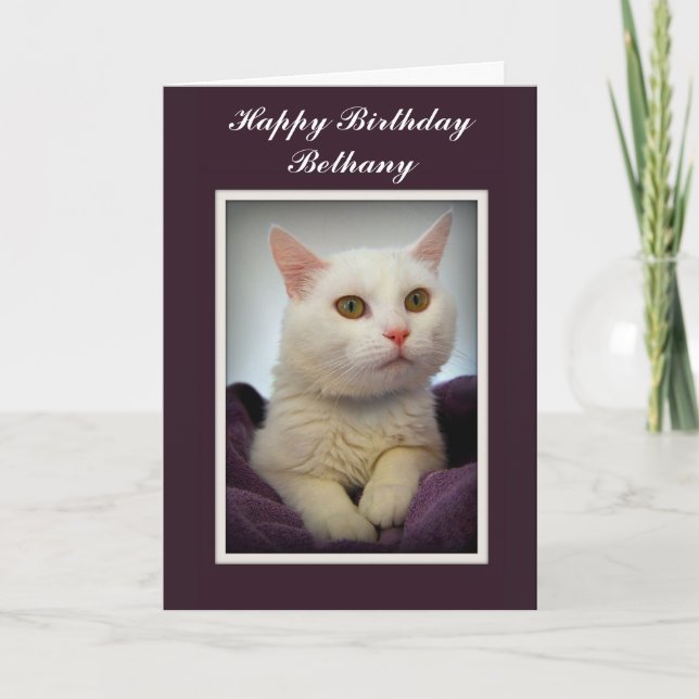 Cartão de Aniversário para Bethany com Gato Branco (Frente)