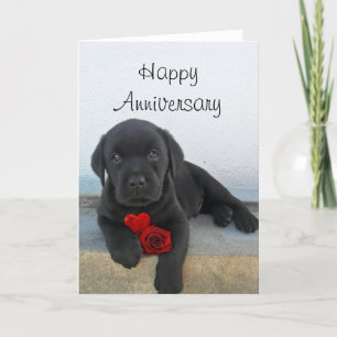 Cartão de aniversário para cachorrinho Labrador