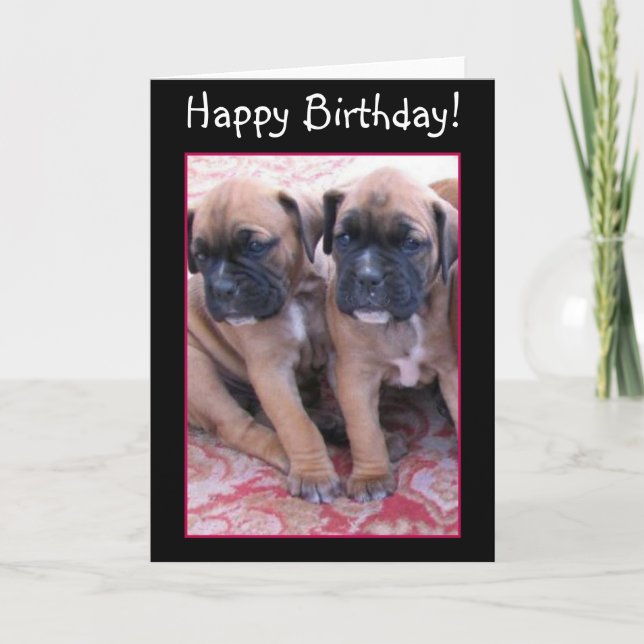 Cartão de aniversário para cachorros Boxer (Frente)