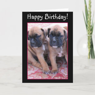 Cartão de aniversário para cachorros Boxer