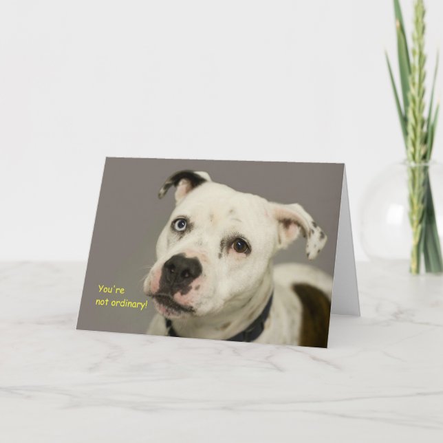 Cartão de Aniversário para Cães (Frente)