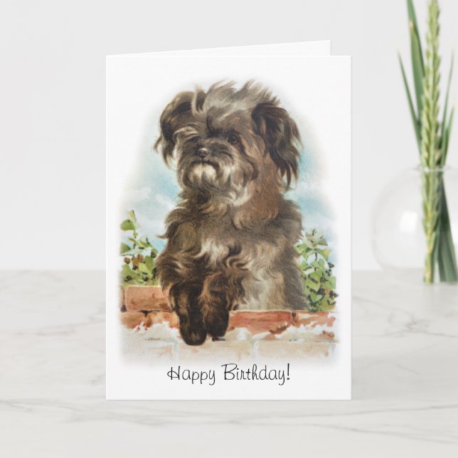 Cartão de aniversário para cães adorável (Frente)