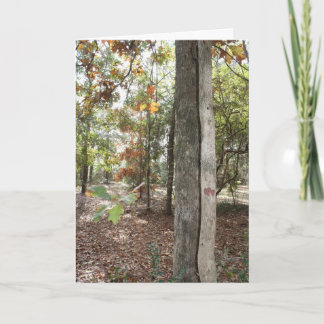 Cartão de aniversário para esse filho especial