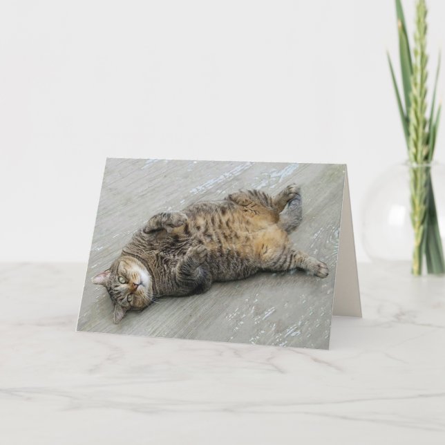 Cartão de Aniversário para Gato Super Animado (Frente)