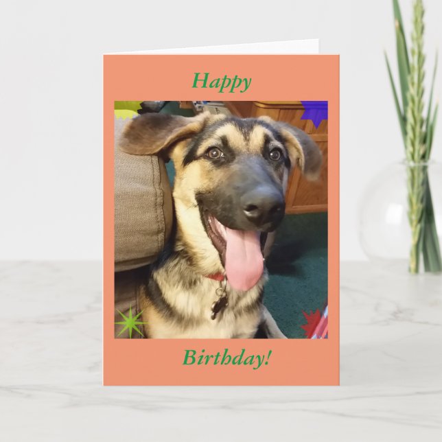 Cartão de Aniversário para German shepherd de Cão  (Frente)